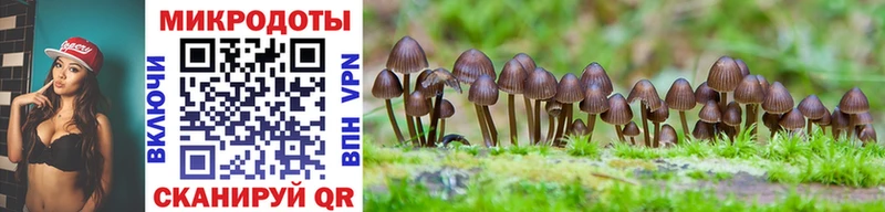 Галлюциногенные грибы MAGIC MUSHROOMS  купить закладку  Ногинск 